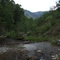 Ophir Creek - Looking Downstream