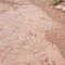 Hurricane Wash Dino Tracks