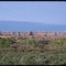 Needles, Canyonlands