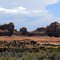 Wooden Shoe Arch, Canyonlands, NP