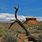 Utah Landscape