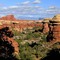Needles District