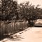 Agbayani Village palm fence, 1982