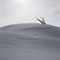 Summiting the top 8,498 ft