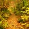 Deaf Smith Canyon during the fall