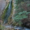 Waterfall by the Log Haven Restaurant in Mill Creek canyon.