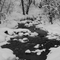 A snowy day in Mill Creek Canyon.