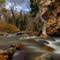 big cottonwood autumn