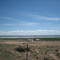 Pelican Lake