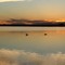 Pelican Lake, Utah