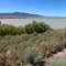 Pruess Lake, UT
