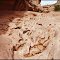 gravel canyon, utah