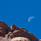 Moon and vulture over Syncline trail