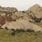 Molded Mountains