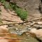 Kanarra Creek