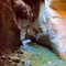 Kanarra Creek Canyon