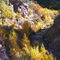 Yellow Trees in the Fall | DyeClan.com