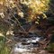 Fall Leaves in Kanarra Canyon | DyeClan.com