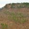 View from Petit Jean Mountain