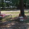 A glass of wine was calling me to the shade of the tree. (6/05)