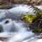 hike to stewart falls