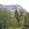 Timpanogos
