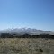 5 Mile Recreation Area, Utah.  3/10/2012.  Cow pies.