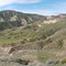 near quail springs