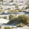 From Aral Sea to desert