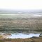 Near Moynaq