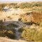 Walking where Aral Sea once was