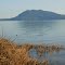 VIEW OF THE LAKE