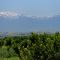 Oasis and Tadjik mountains near Shakrisabz