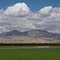 California landscape