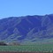 Costal Range near Soledad