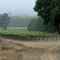 Las Alturas Vineyard, Santa Lucia Highlands, Down in the Valley
