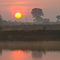 Morning Sun, Sep-2008