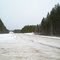 дорога в Помоздино.республика Коми.