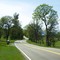 Hwy 36 west of Red Bluff