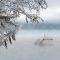 Icebreaker on the River Lena