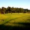 Silverlake Meadows Park, Silverlake, Los Angeles, CA