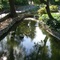 Averill Park