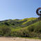 Windmill