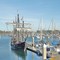 Nina, Ventura Harbor Ca.