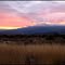 Grand Mesa Sunset