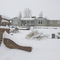 Typical Sterling Winter