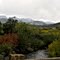 bridge over the creek near the Torres ghost town