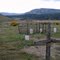 the Tercio ghost town cemetery