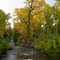 on the creek in Tercio ghost town