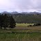 the Southern Sangre de Cristos